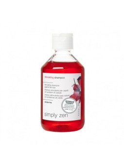 Z.one concept stimulating...