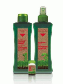 Salerm Biokera anti-fall shampoo