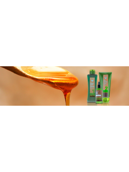 Salerm biokera shampoo honey scalp care