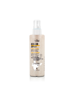 Lendan terra color spray color duradero 200ml