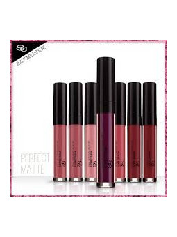 Salerm perfect matte lip fluid permanent matte