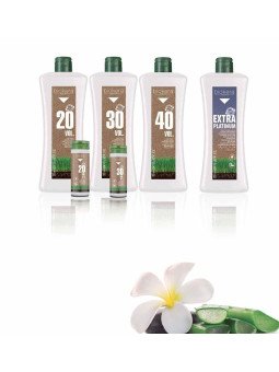 Salerm biokera oxidante en...