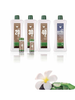 Salerm oxidizing biokera in...